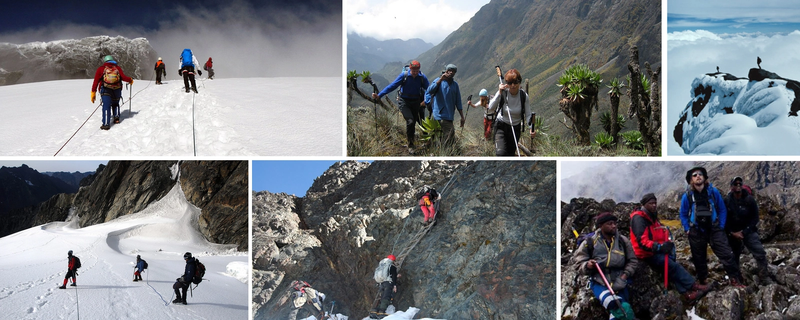 10 Days Mountain Rwenzori hike summiting over 4 peaks.webp