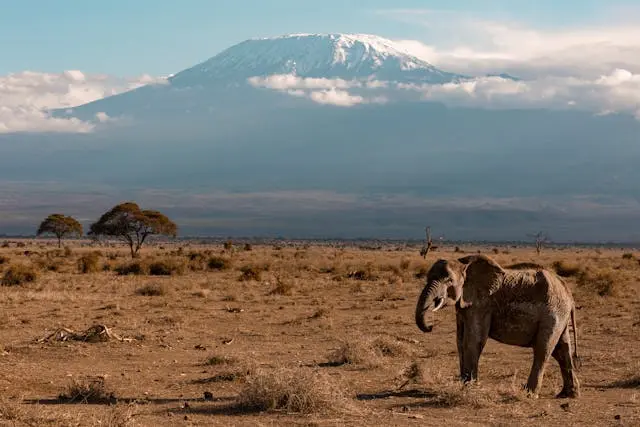 13 Days Kenya photography safari.webp