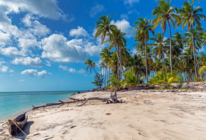 Mafia is one of the most beautiful beaches in Tanzania Mafia is one of the most beautiful beaches in Tanzania