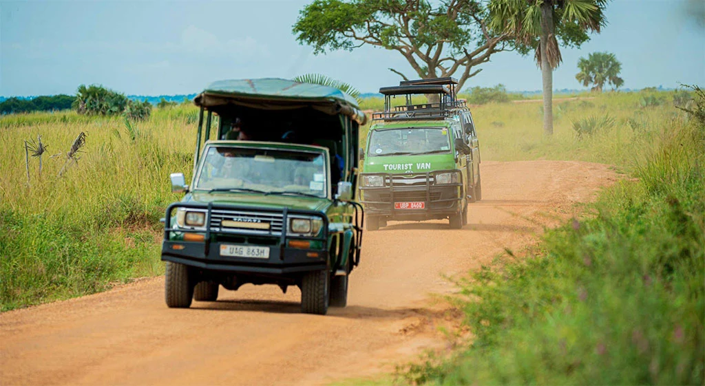 21 Days Magical Uganda safari tour.webp