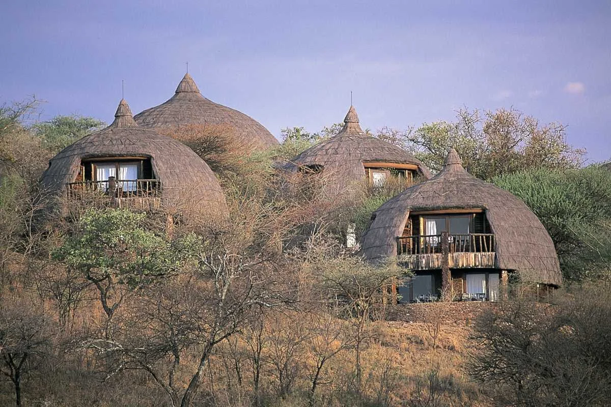 Best Safari Lodges in Serengeti on Tanzania Safari.webp