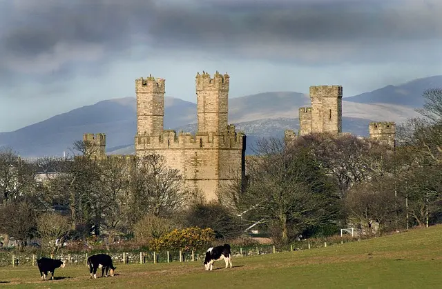 Caernarfon castle