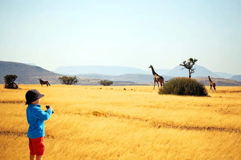 Family-Friendly-Safaris-in-Tanzania-Tips-for-Traveling-with-Kids-2145981868.webp
