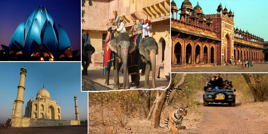 golden-triangle-vacation-packages-from-usa-YOYO-Trips-India.webp