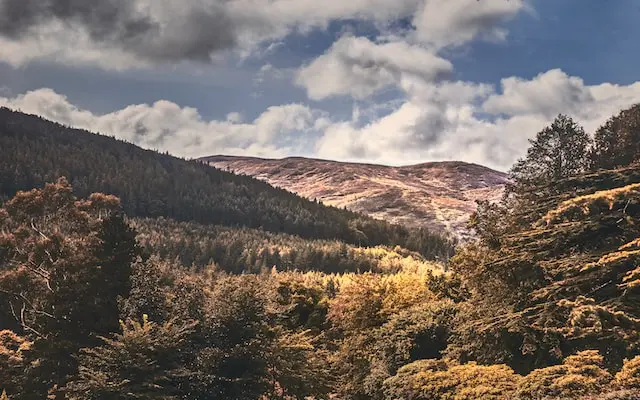 Tollymore Forest Park
