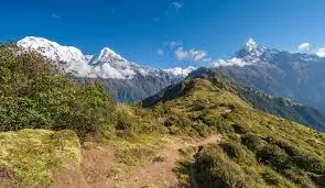mardi himal nepal.webp