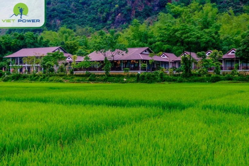 must-visit-cities-Vietnam (10).webp