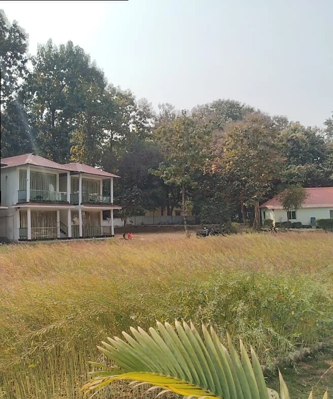 Palash 13.webp