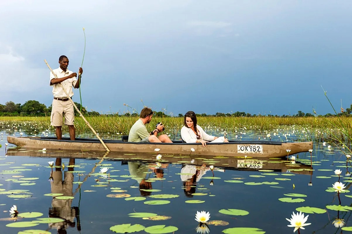 Top 5 adventures not to miss on Botswana Safari tours.webp