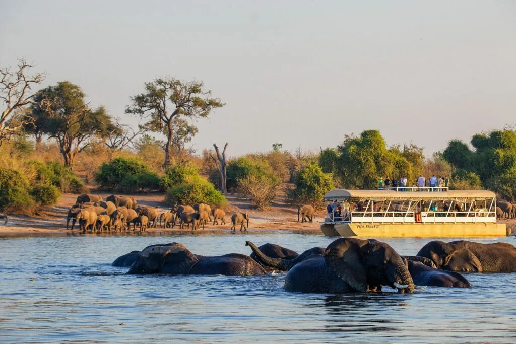 Top 5 safari destinations to visit on Botswana safari.webp