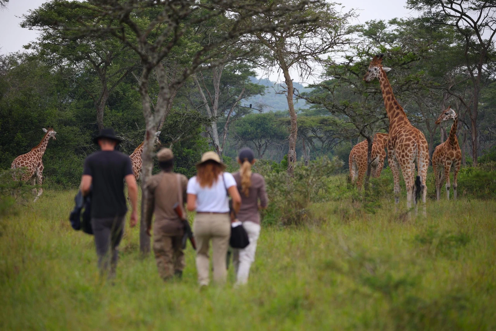 Walking-safari-in-Lake-Mburo-National-Park-3214514757.webp