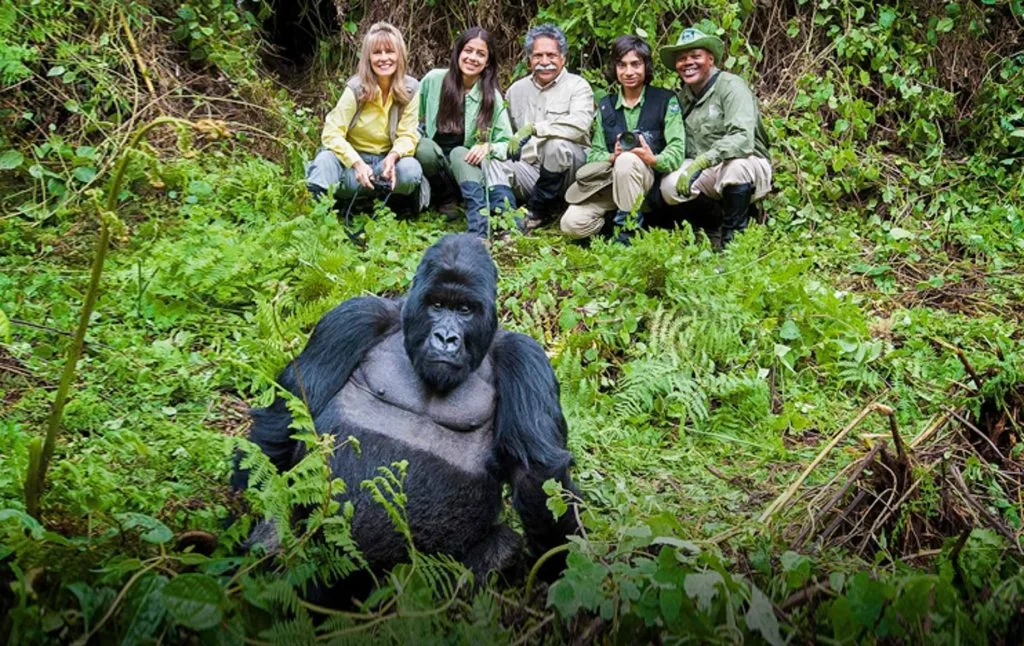 What should I expect on 7 Days Rwanda gorilla trekking adventure.webp