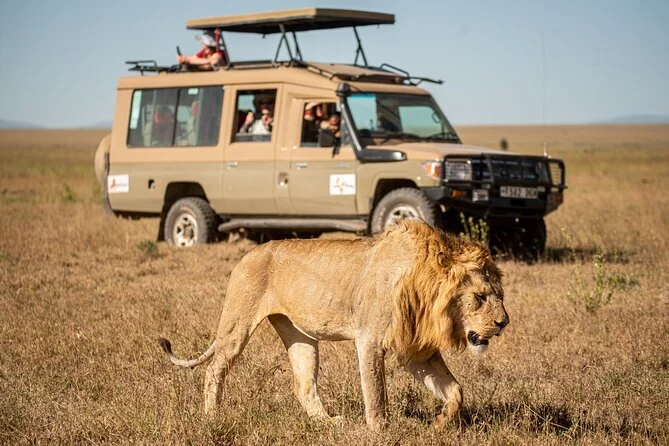 What should I pack for a 10-day Kenya wildlife safari.webp