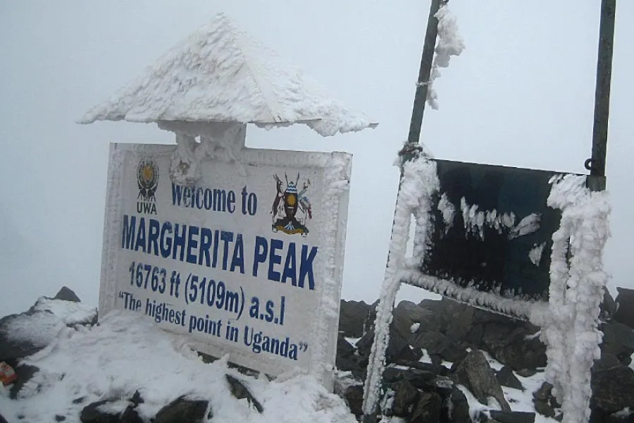 world-summit-margherita-peak-rwenzori-mountains-.webp