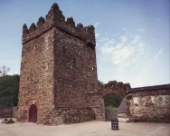castle-ward.webp