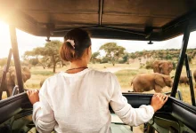the-best-time-of-year-to-visit-tanzania-for-wildlife-watching-2-1678159967.webp