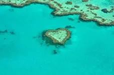 heart-1492445_1280.webp