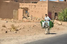 moroccan tour.webp