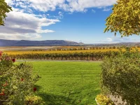 Wine Tours Seattle.webp
