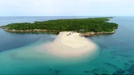 Bongoyo Island.webp