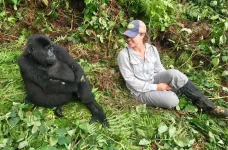 Best Moments Traveller Shouldn't Miss with Rwanda Gorillas.webp