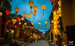 692_jp(avt) (1).webp