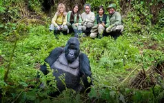 What should I expect on 7 Days Rwanda gorilla trekking adventure.webp