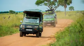 21 Days Magical Uganda safari tour.webp