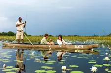 Top 5 adventures not to miss on Botswana Safari tours.webp