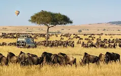 How to plan 1 Week 7 Days Kenya safari tour package.webp