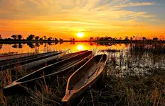 Top places to visit in Botswana-on-Botswana safari.webp