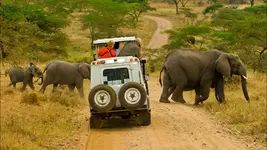 20 best tips for hiring a car in Uganda for Uganda safari.webp