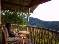 3 Days Budget gorilla trekking safari sleeping at Gorilla mist lodge or similar.webp