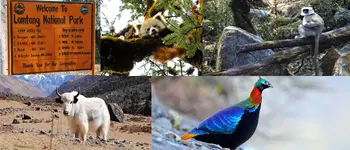 Features-Image-langtang-National-Park.webp