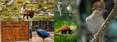 Langtang National Park_ Complete Guide to Wildlife, Permits, Trekking Routes & Everything You...webp
