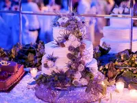 menger-hotel-weddings-wedding-packages-platinum-wedding-5d3631229c18f.448x336.webp