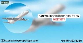 WeSTJEt Group Travel.webp