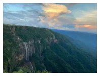 element-download--1776684109.webp
