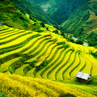 Sapatrekkingtours