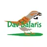 davsafaris1999