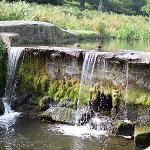 Bradgate Park Waterfall, Leicestershire UK