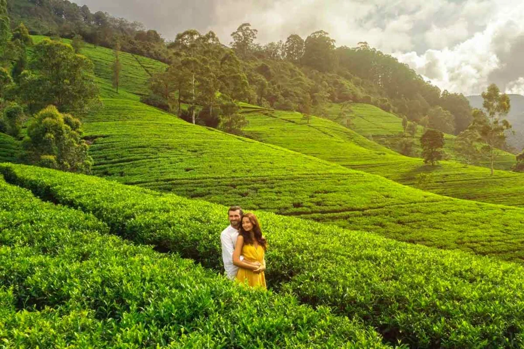 Best Kerala Tour Packages for an unforgettable experience