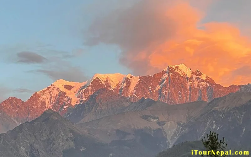 Nilgiri-Himal.webp