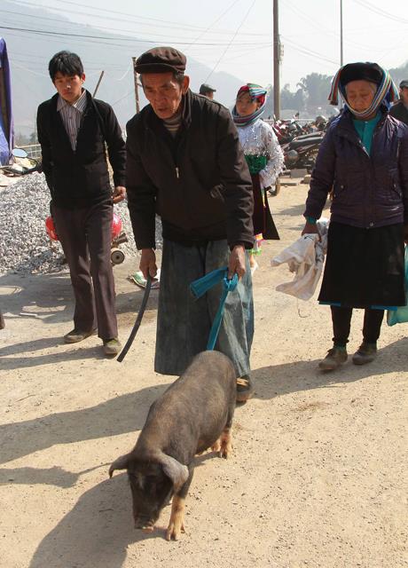 Tet market in Ha Giang rocky plateau