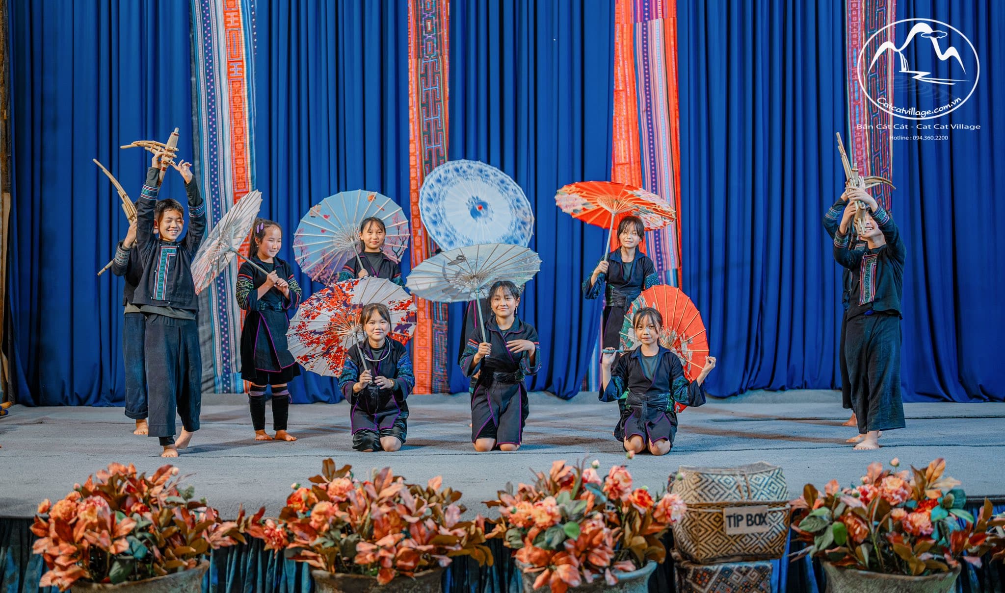 Cat Cat Performance