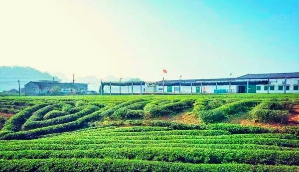 65hP2xVp0WXWlw7-POexMXxqSEYYZLZm9RBnbQs3kg=w600-h346-no