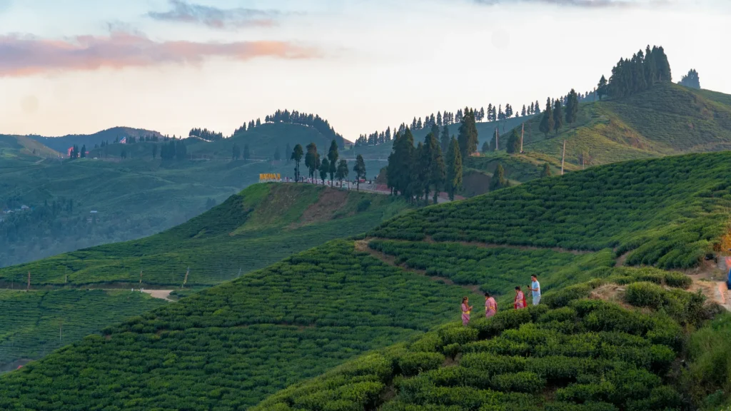 illam-hd-photo